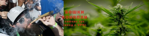 дживик Михайлов