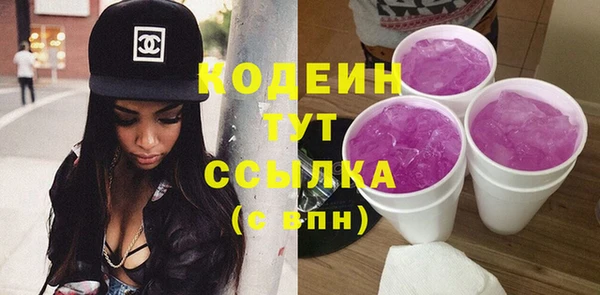 стаф Апатиты