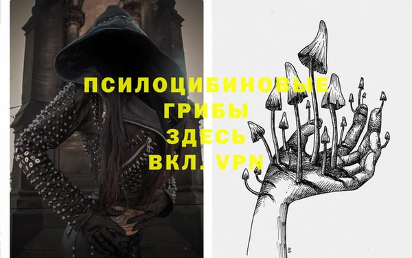 дживик Михайлов