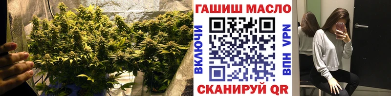 mega зеркало  Стерлитамак  ТГК THC oil 