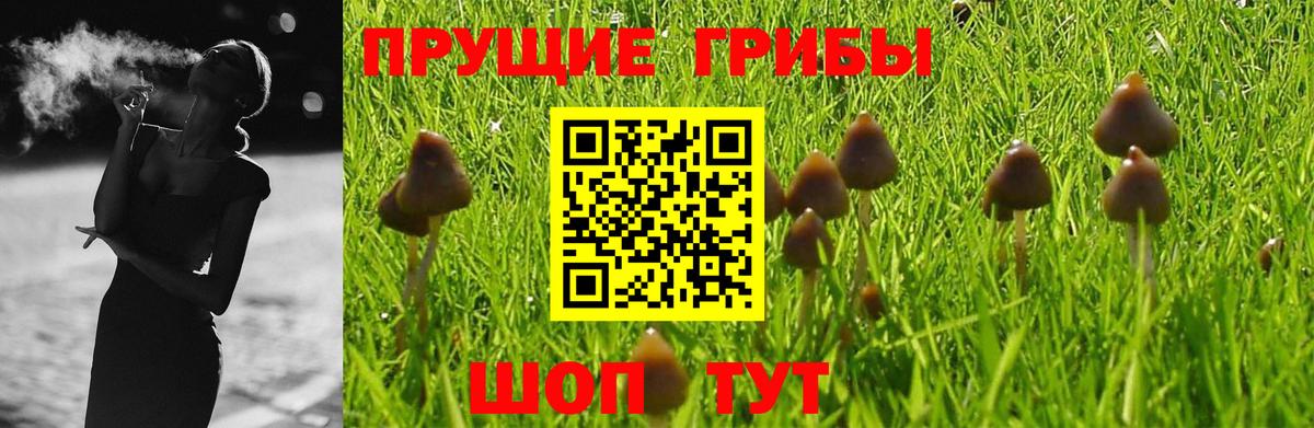 Псилоцибиновые грибы GOLDEN TEACHER  Вход с VPN  Стерлитамак 