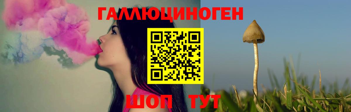 Псилоцибиновые грибы Magic Shrooms Стерлитамак